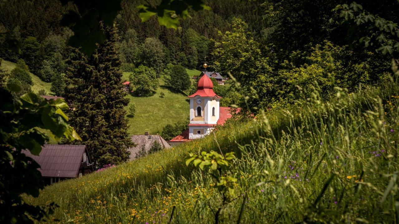 Pension U Pece Пец-под-Снежкой Экстерьер фото